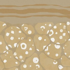 Subsoil