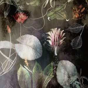 Night Flowers