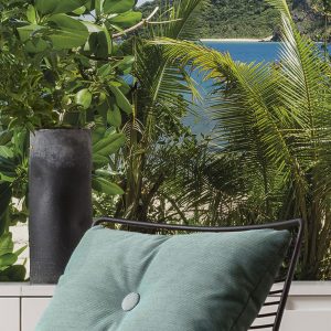 Cast Away Jungle