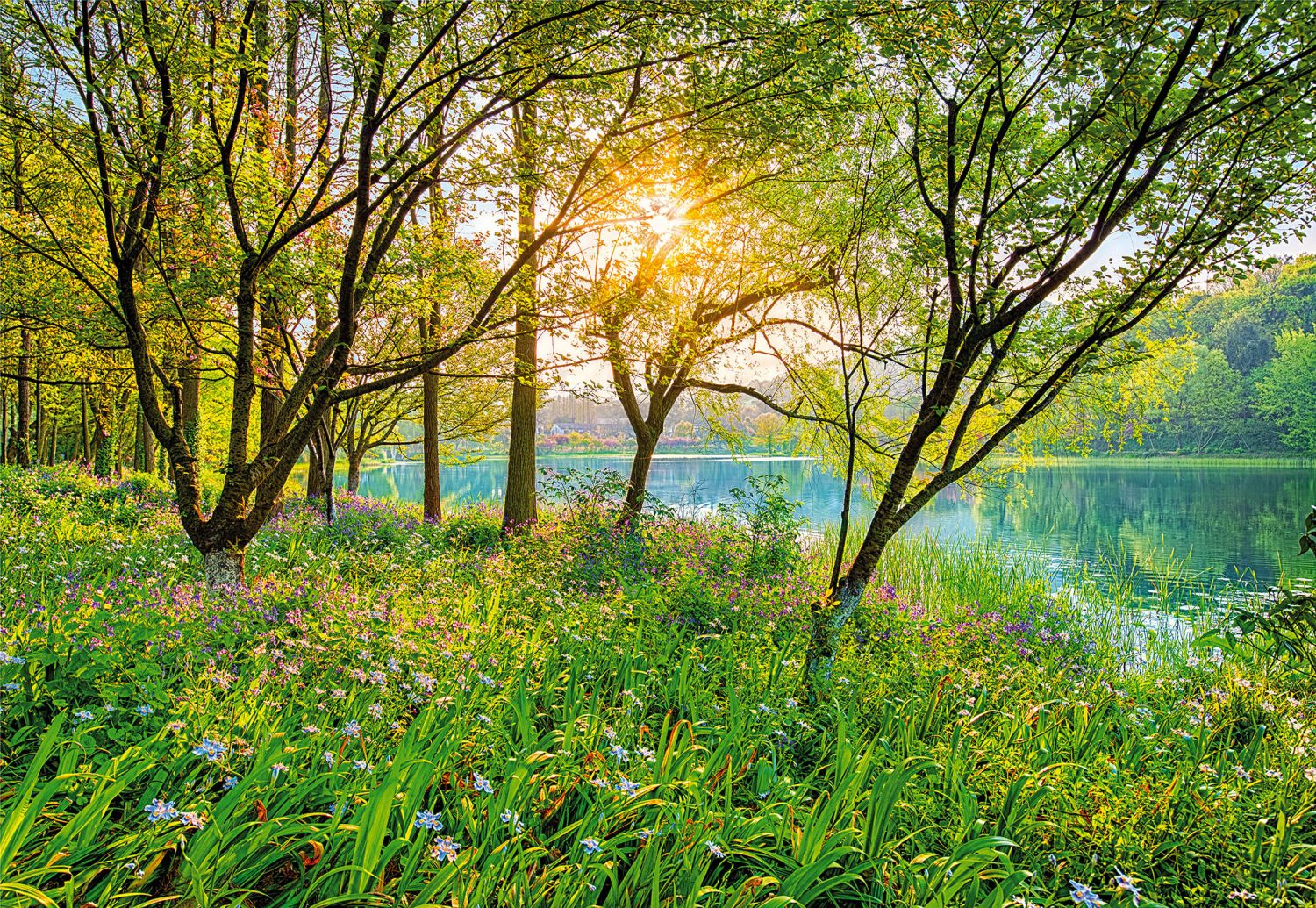 Spring Lake