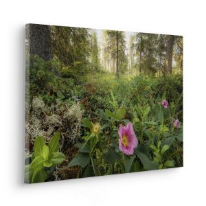 Charming Woods