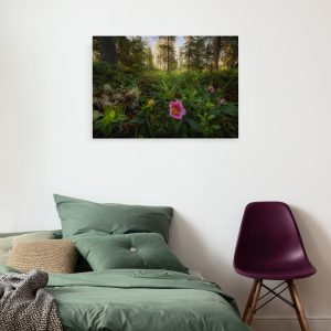 Charming Woods