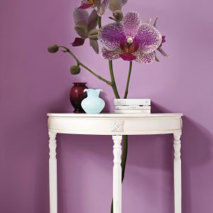 Orchidee