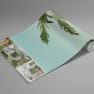 Jungle Expedition
