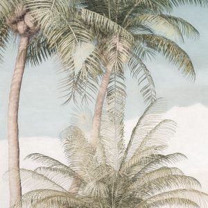 Palm Oasis