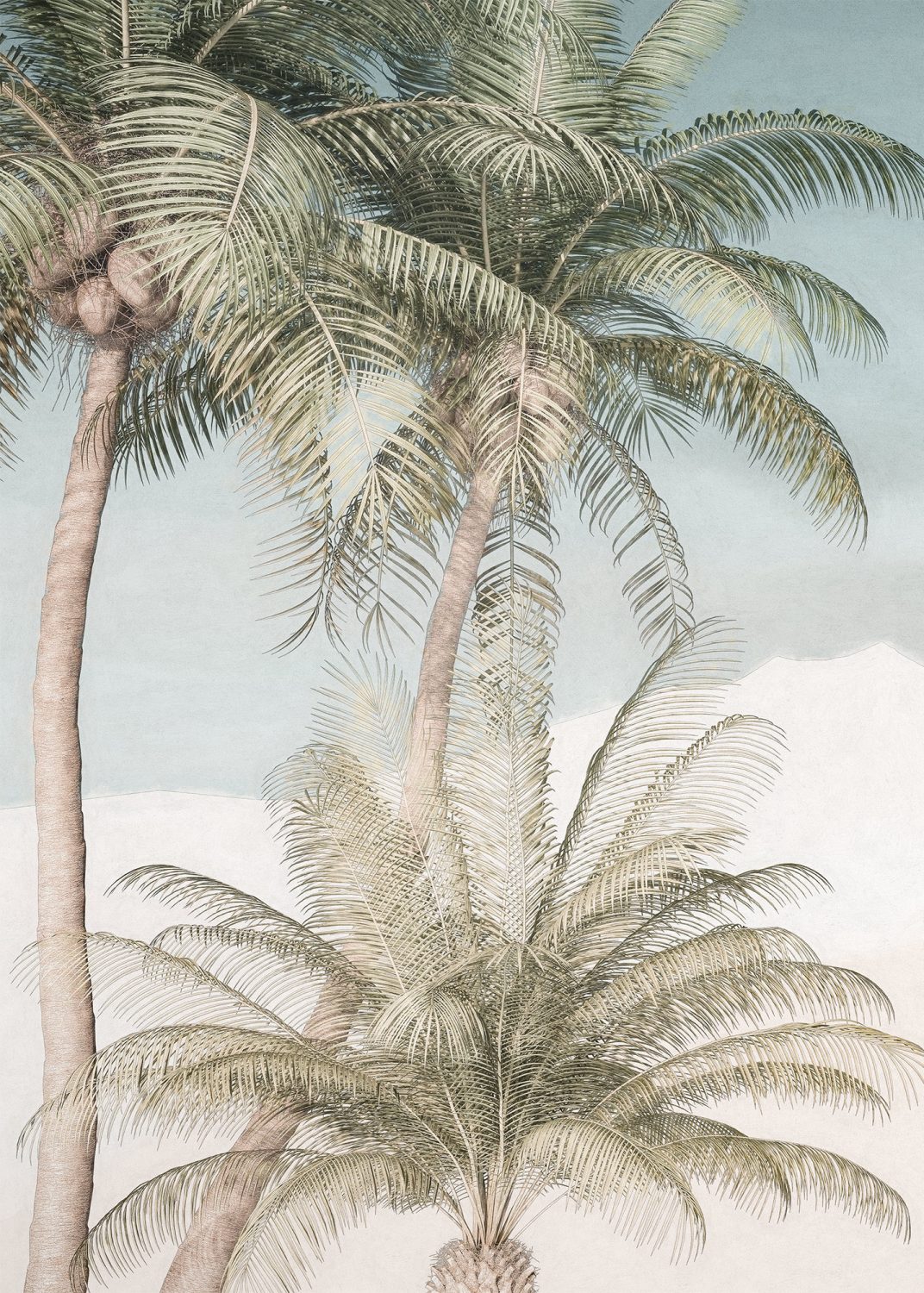 Palm Oasis