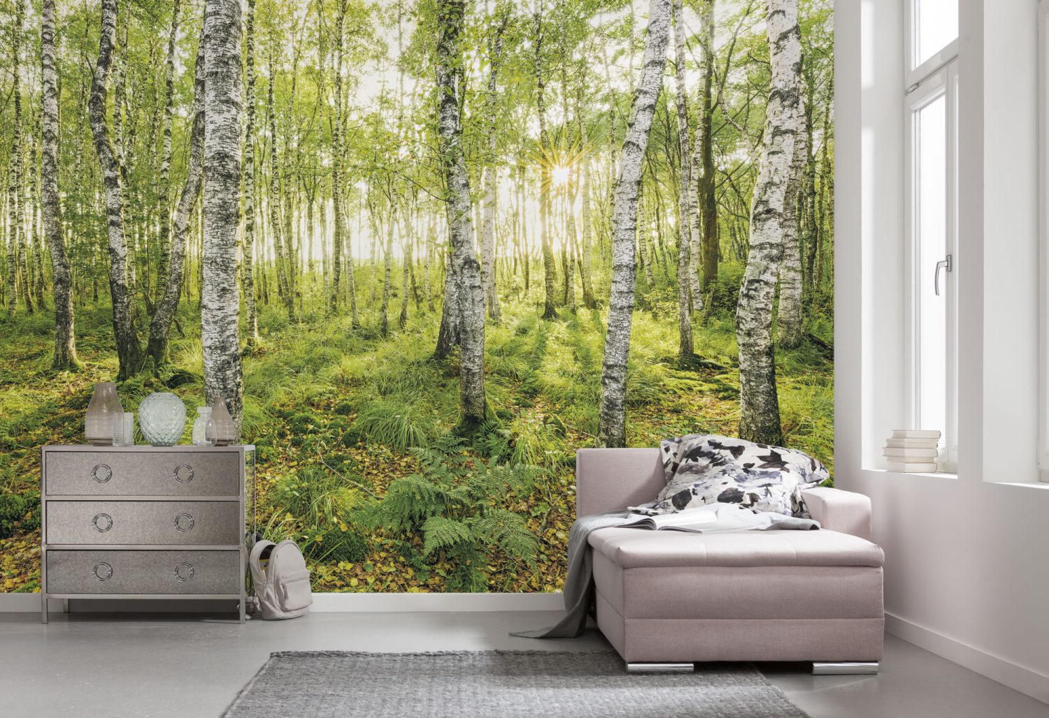 Birch Trees