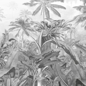 Amazonia Black and White