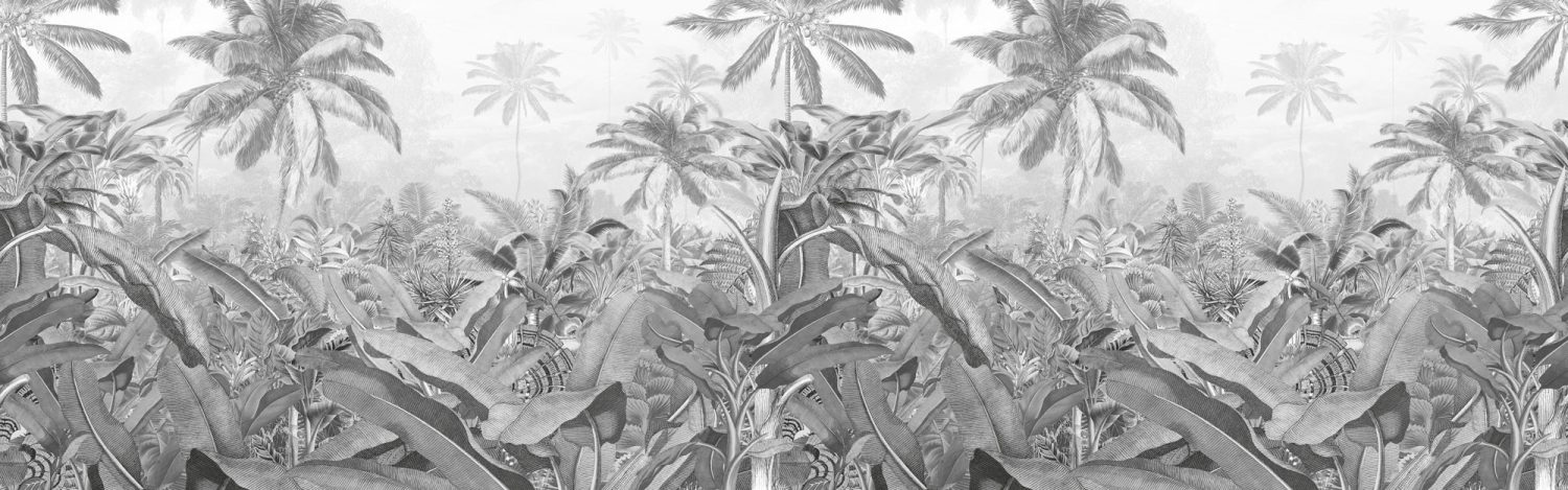 Amazonia Black and White