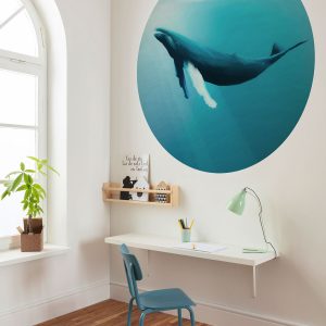 Whale Watching
