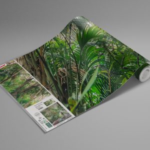 Touch the Jungle