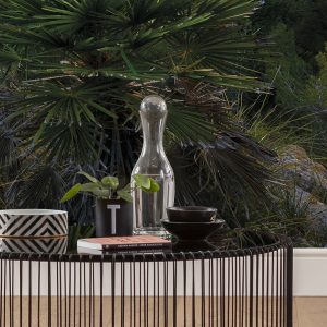 Emerald Cove