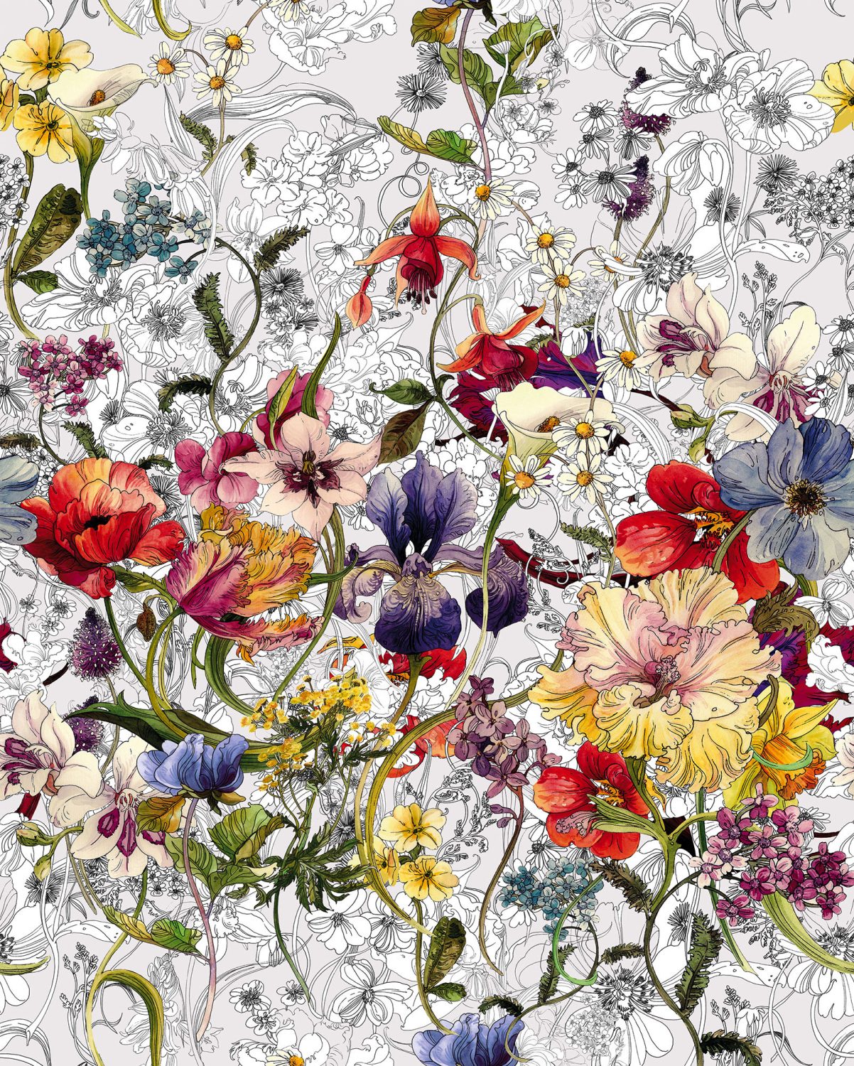 Flora