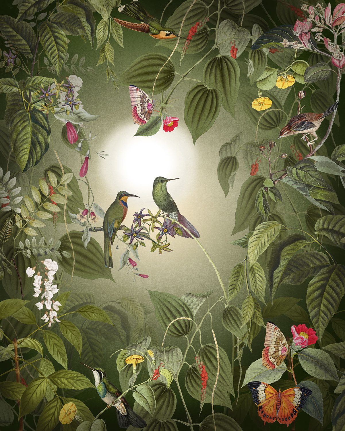 Wildlife Birds
