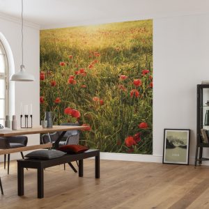 Poppy World I