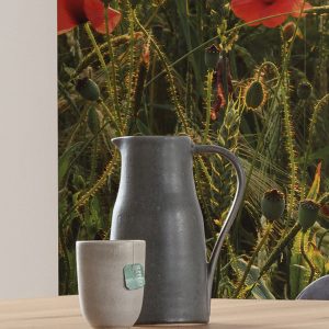 Poppy World I