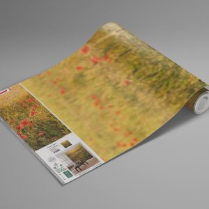 Poppy World I