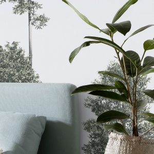 Pines