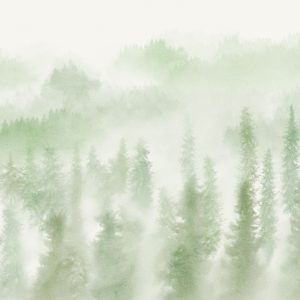 Blurry Woods