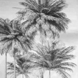 Cocco
