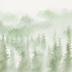 Blurry Woods