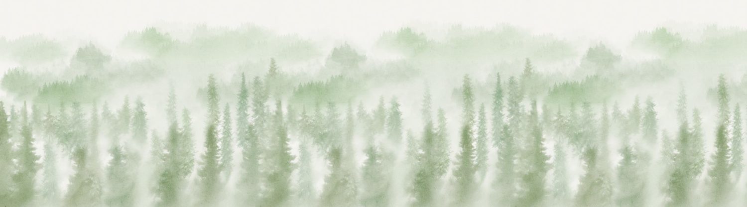 Blurry Woods