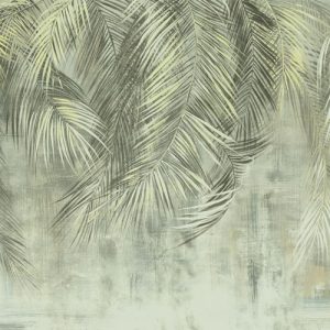 Palm Fronds