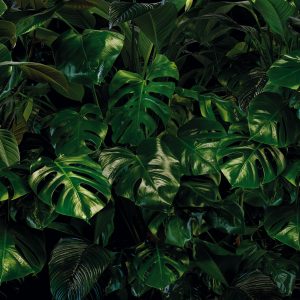 Tropical Wall