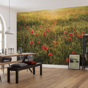 Poppy World I