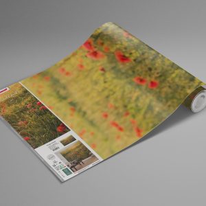Poppy World I