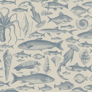 Sea Study