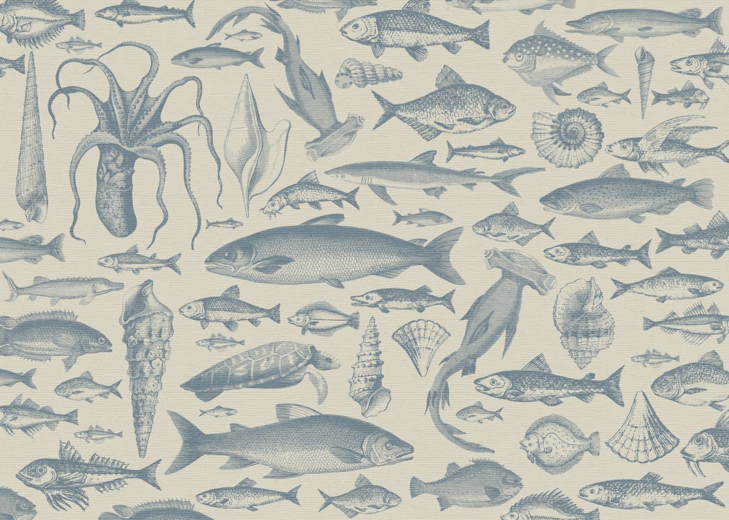 Sea Study