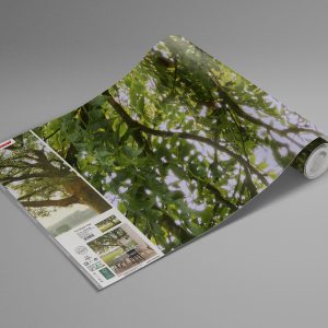 The Magic Tree