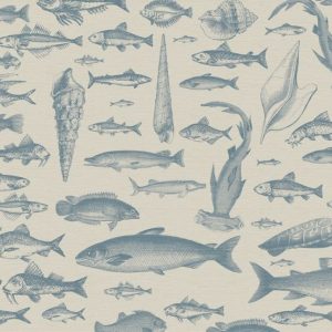 Sea Study