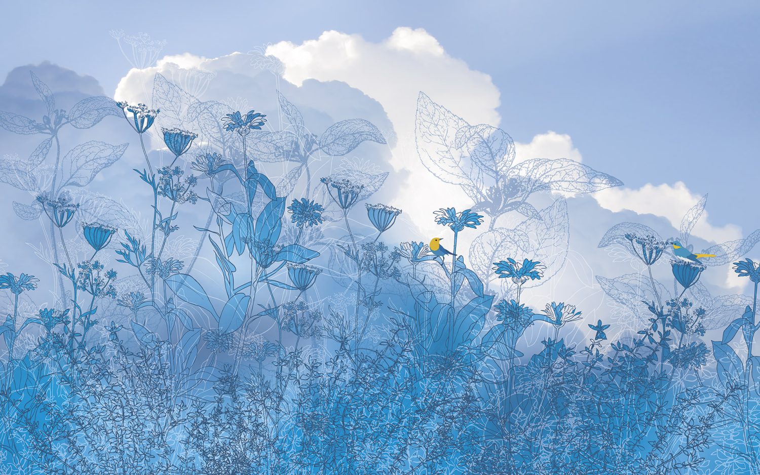 Blue Sky II