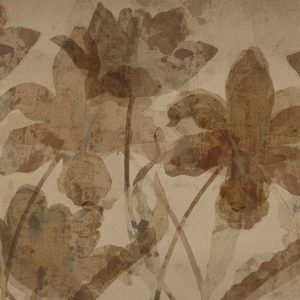 Petal Whispers