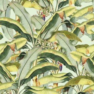 Banana Grove