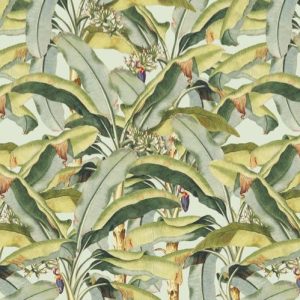 Banana Grove