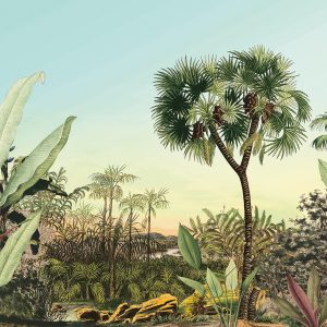 Oasis