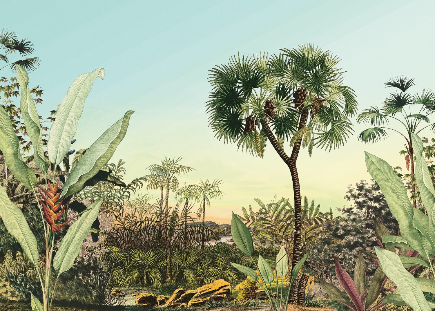 Oasis