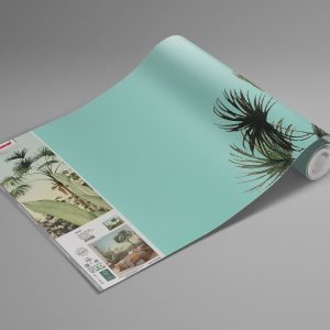 Oasis