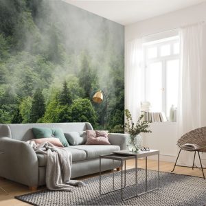 Forest Land