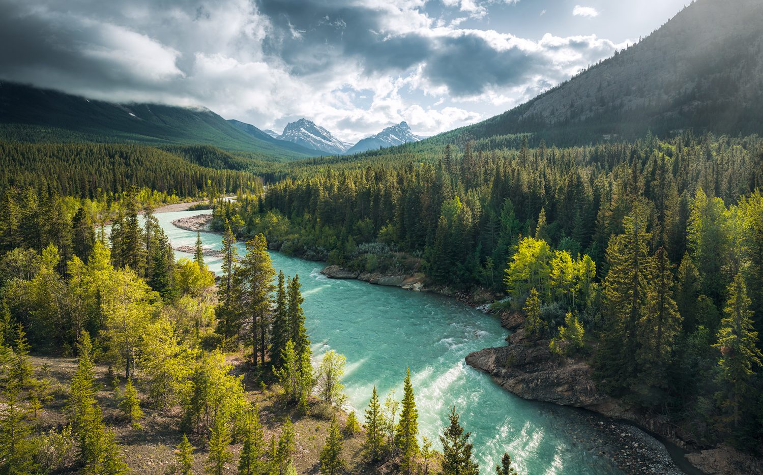 Wild Canada