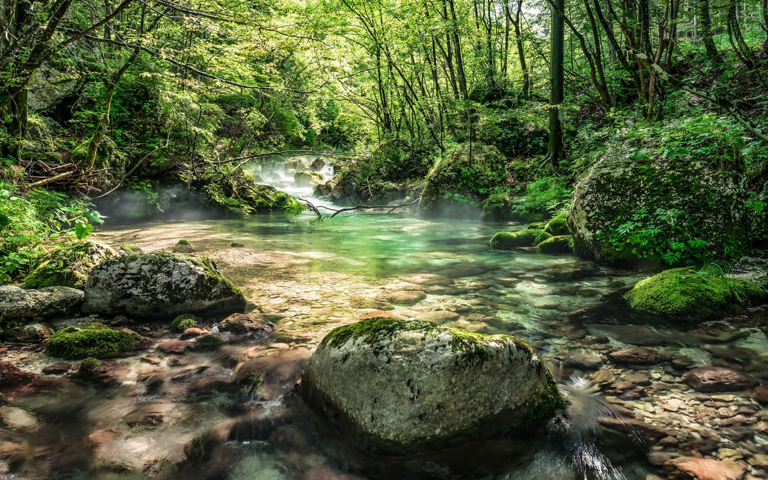 Tranquil Pool