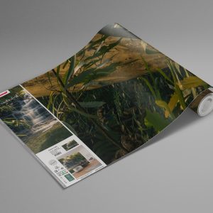Golden Falls