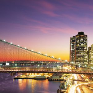 New York City Lights