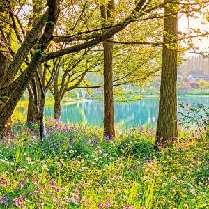 Spring Lake