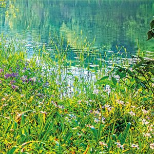 Spring Lake