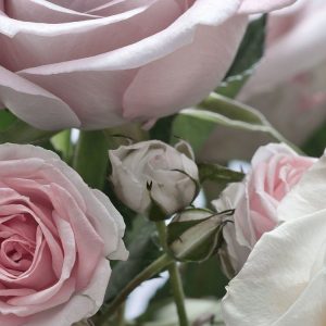 Floraison