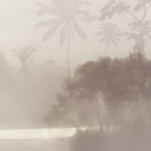 Lac Tropical Pure